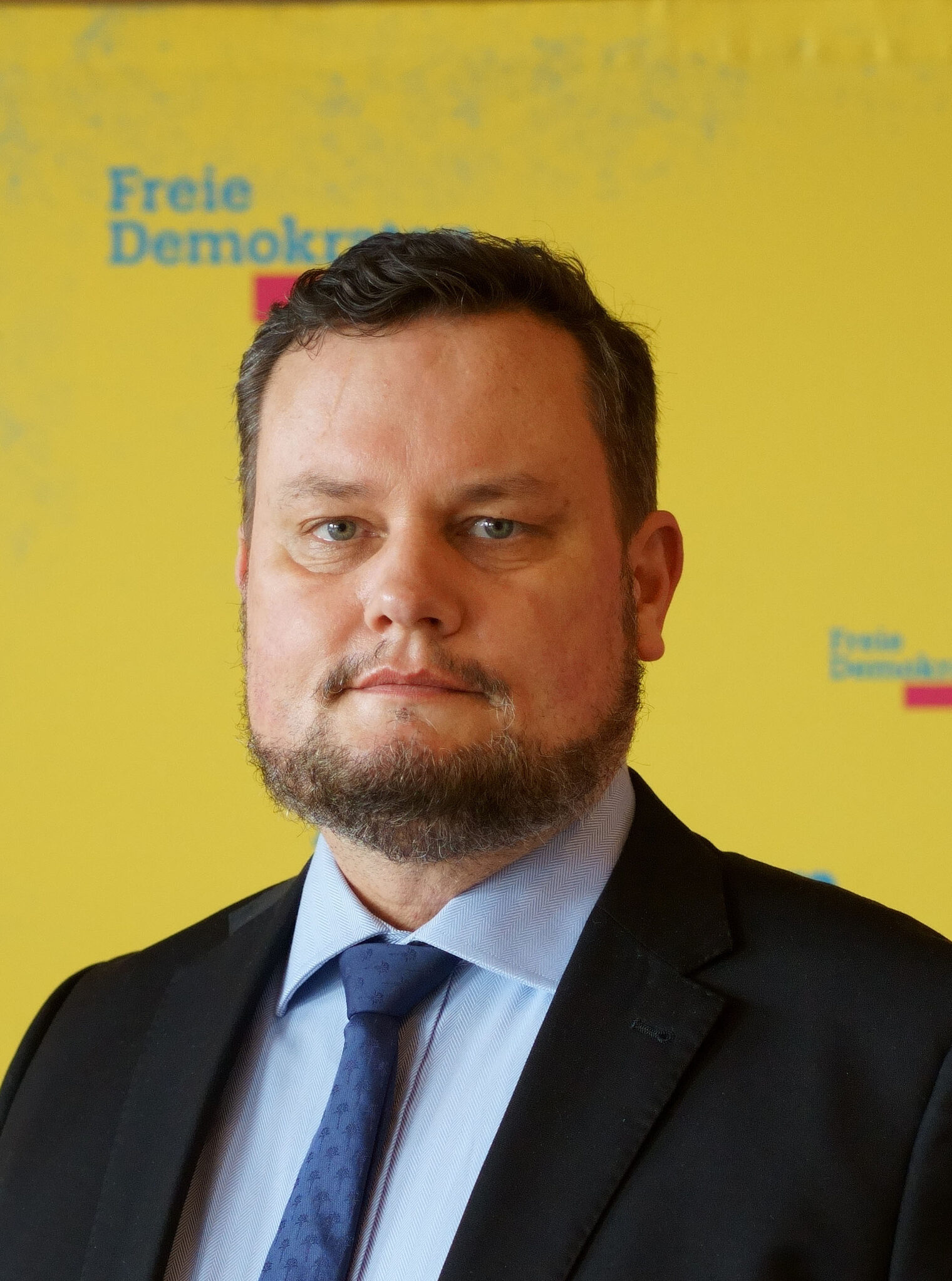 René Domke, Spitzenkandidat der FDP M-V