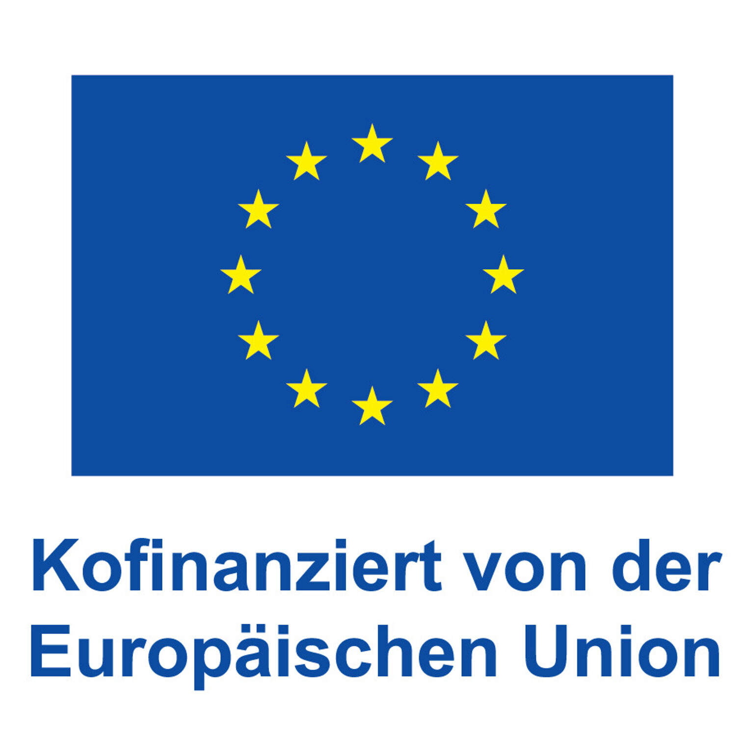 DE+V+Kofinanziert+von+der+Europäischen+Union_POSneu