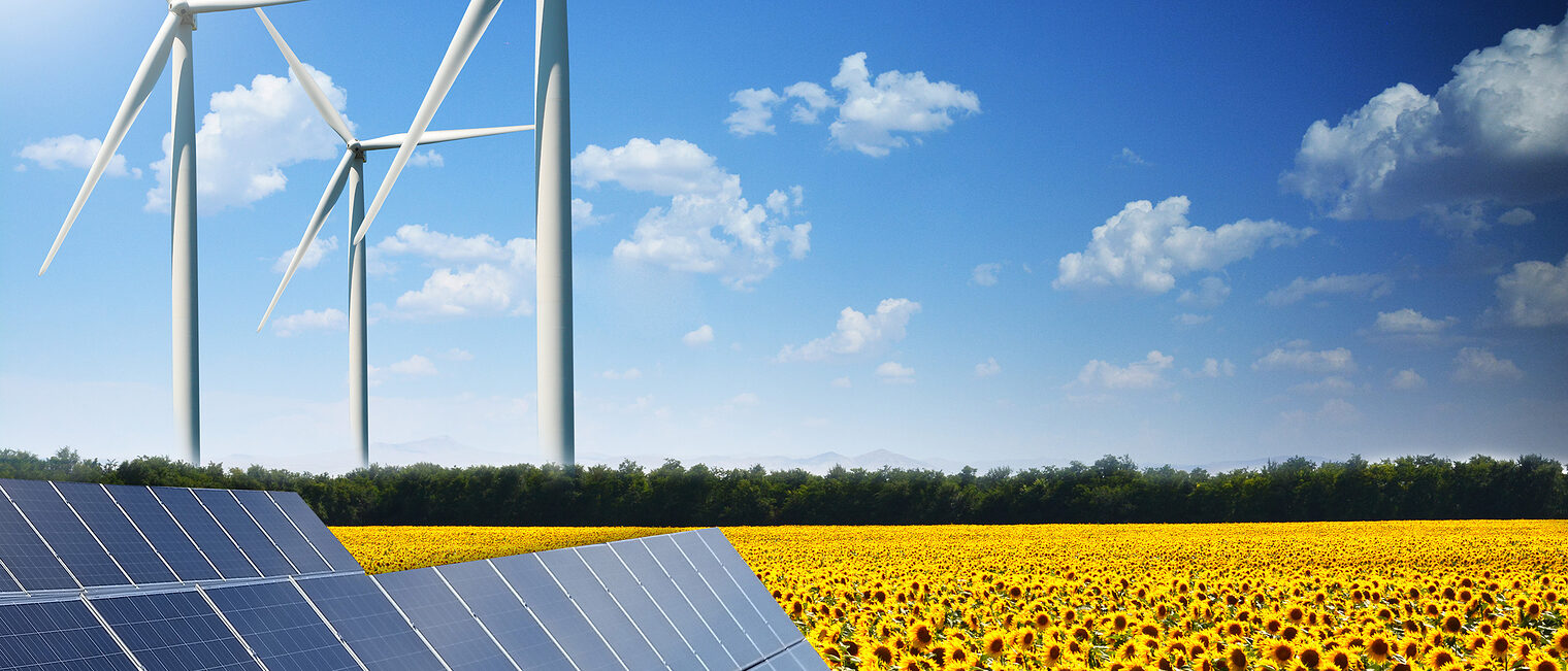 green energy, renewable, energy, wind, turbine, solar, panels, green, landscape, sunflower, meadows, blue, sky, summer, environment, production, network, concept, electricity, generator, current, land, megawatt, future, technology, electric, modern, background, installation, sun, planet, save, solution, development