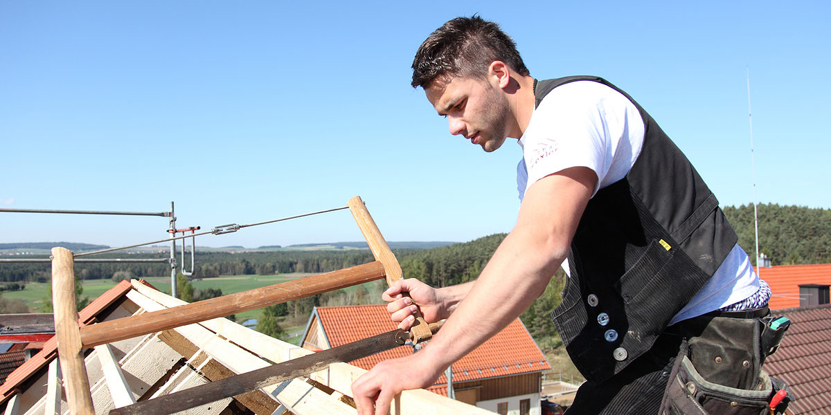 Zimmerer, Ausbildung, Meister, Bauhandwerk