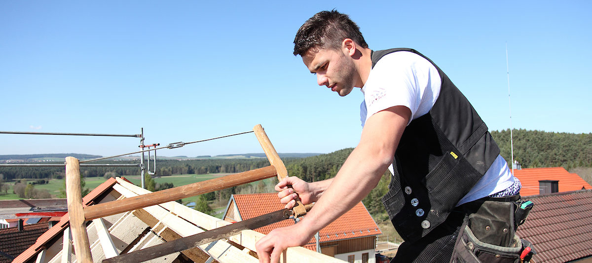 Zimmerer, Ausbildung, Meister, Bauhandwerk