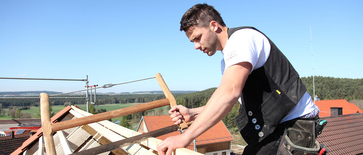 Zimmerer, Ausbildung, Meister, Bauhandwerk