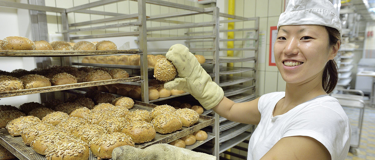 München, DEU, 19.08.2013 Bäckerei Hoffmann. Schlagwort(e): Backen, Baking, Bäckerei, Bäckerei Hoffmann, Baeckerei, Brot, Bread, Brötchen, Handwerk, Trade, Hoffmann, Mehl, Nahrungsmittel, Teig