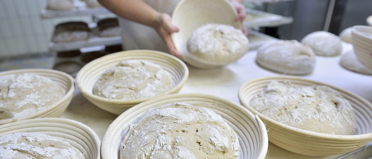 Backen, Baking, Bäckerei, Bäckerei Hoffmann, Baeckerei, Brot, Bread, Brötchen, Handwerk, Trade, Hoffmann, Mehl, Nahrungsmittel, Teig