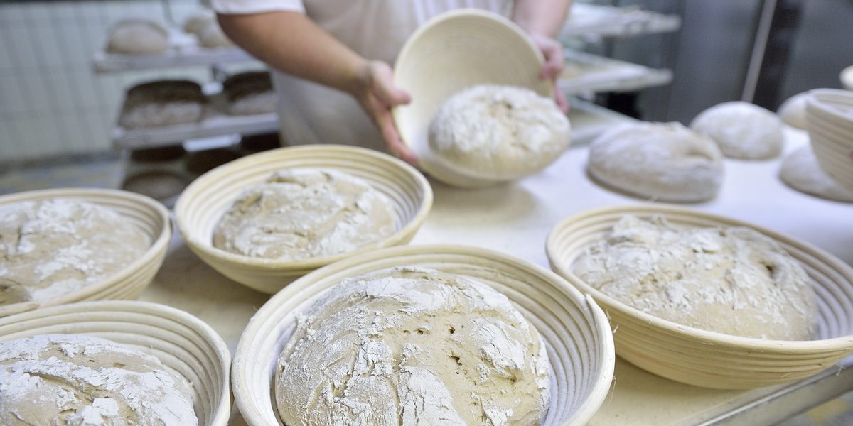 Backen, Baking, Bäckerei, Bäckerei Hoffmann, Baeckerei, Brot, Bread, Brötchen, Handwerk, Trade, Hoffmann, Mehl, Nahrungsmittel, Teig