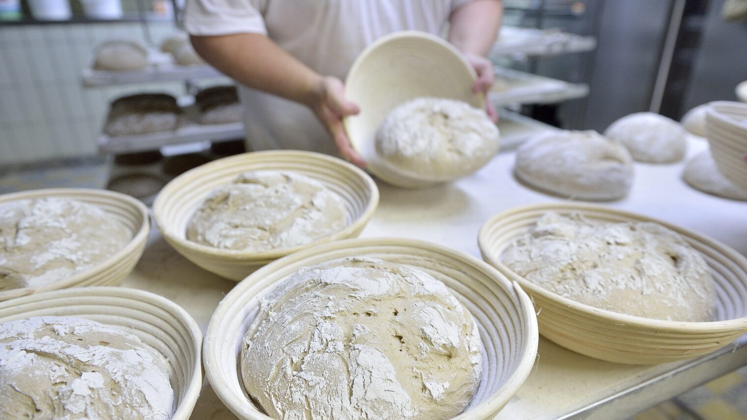 Backen, Baking, Bäckerei, Bäckerei Hoffmann, Baeckerei, Brot, Bread, Brötchen, Handwerk, Trade, Hoffmann, Mehl, Nahrungsmittel, Teig